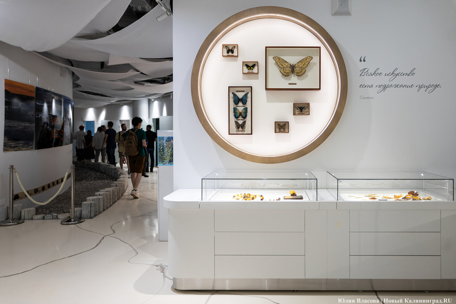 Музей-корабль, музей-планета: экскурсия по корпусу-шару «Планета Океан»