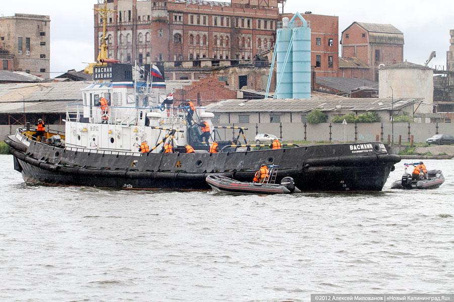 «Под флагом Башара»: фоторепортаж с антитеррористических учений