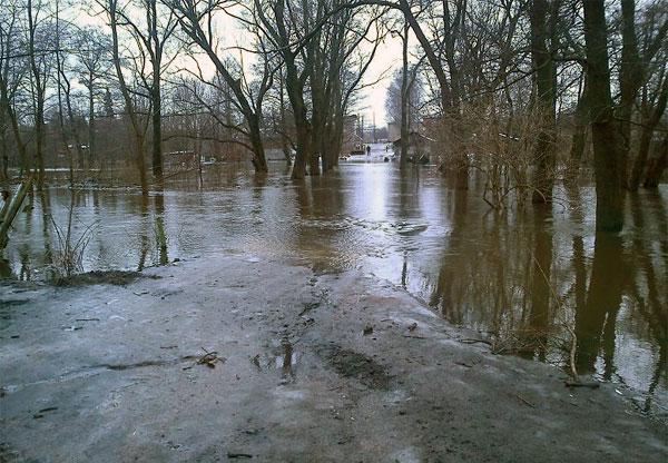 "Большая вода": фоторепортаж читателей "Нового Калининграда.Ru"
