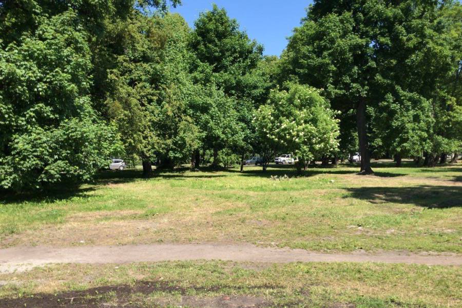 «Стрелка» о мусоре на Верхнем озере: в пятницу будет генеральная уборка