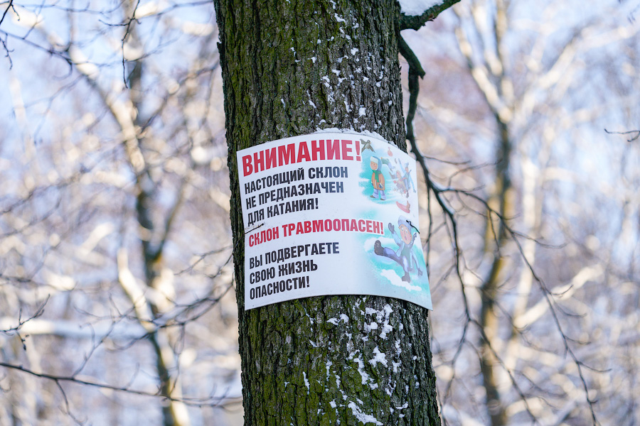 Скользя по утреннему снегу: калининградцы устроили катания с горки в Центральном парке (фото)