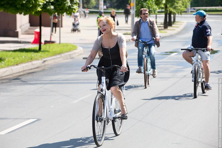 Распогодилось: что было на четвёртом калининградском «Дне колеса» (видео)