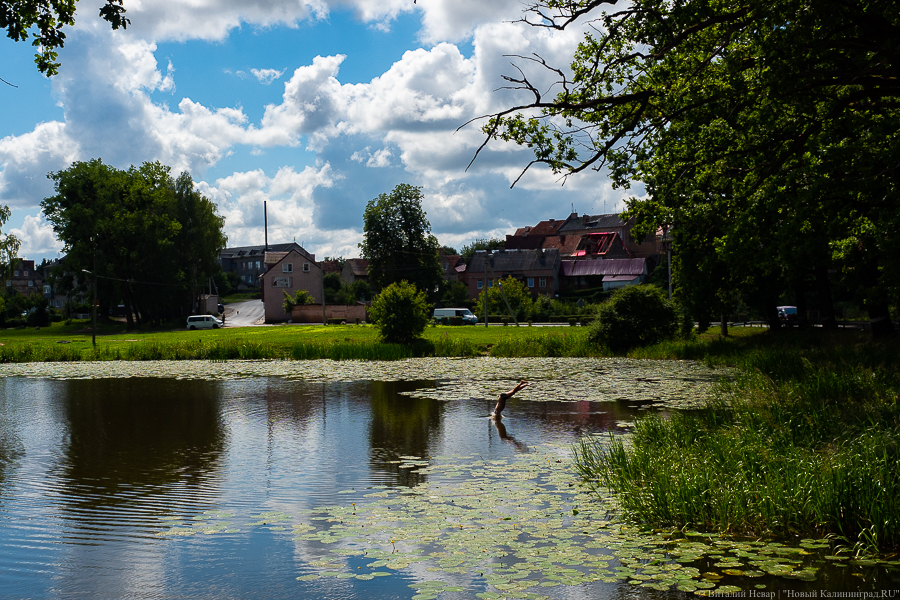 Алиханов: очистные в Железнодорожном начнём строить в следующем году