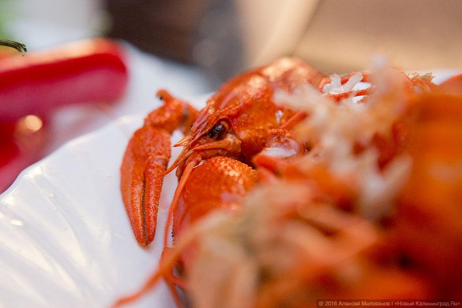 Раки зимуют: кафе «Стрит Шеф» на «Открытой кухне»
