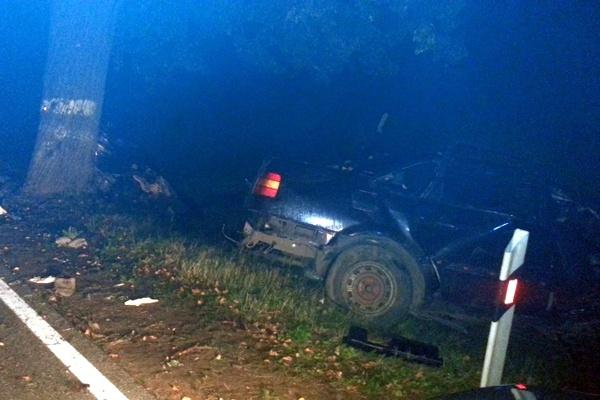 В Зеленоградском районе «Фольксваген» врезался в дерево, двое погибли (фото)