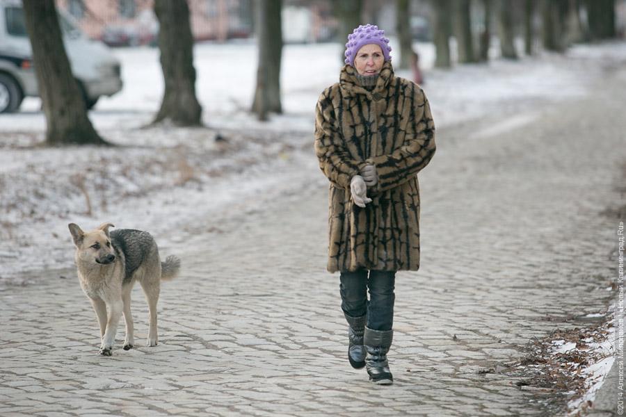 Собачий холод: в разгромленной бывшей казарме на Артиллерийской без тепла и воды живут люди
