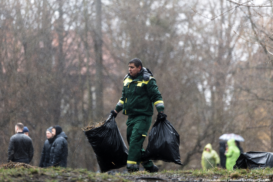 «Коммунальный Новый год»: как в Калининграде прошёл общегородской субботник