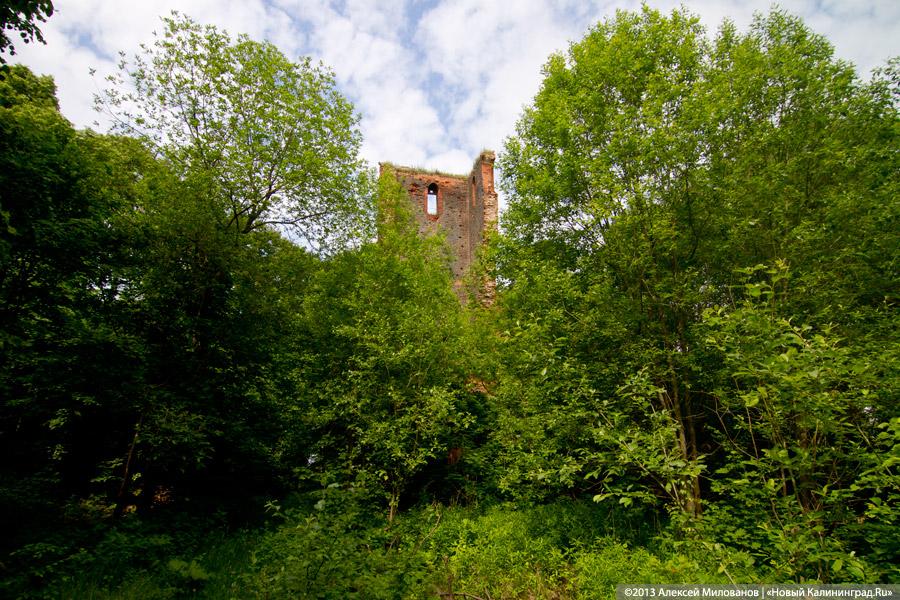 Черепки и воронки: «черные копатели» регулярно разграбляют руины кирхи в Корнево