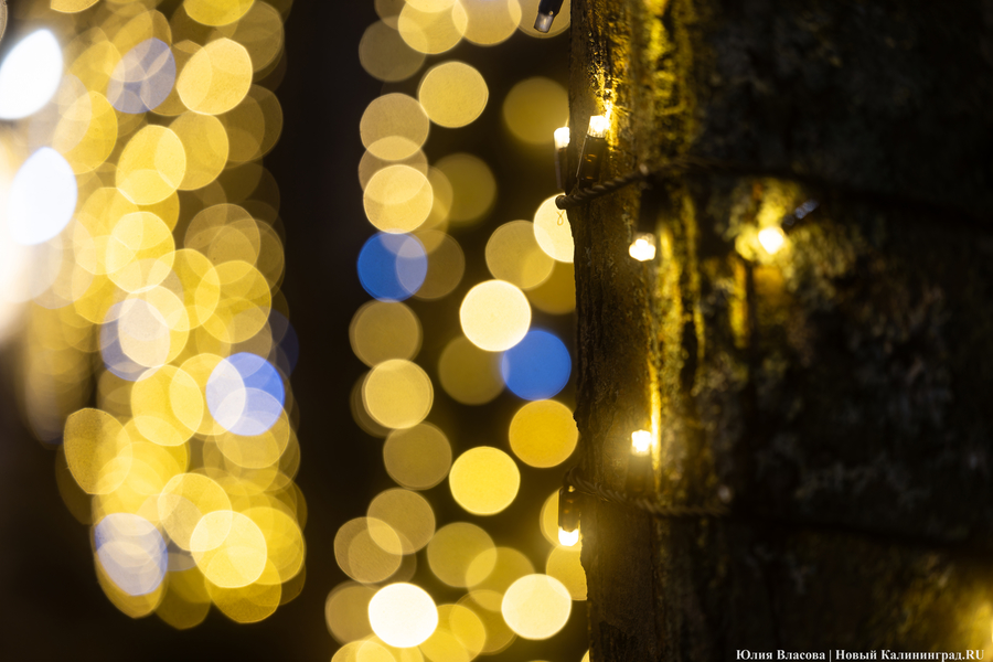 30 километров гирлянд: как украсили к Новому году Светлогорск (фото)