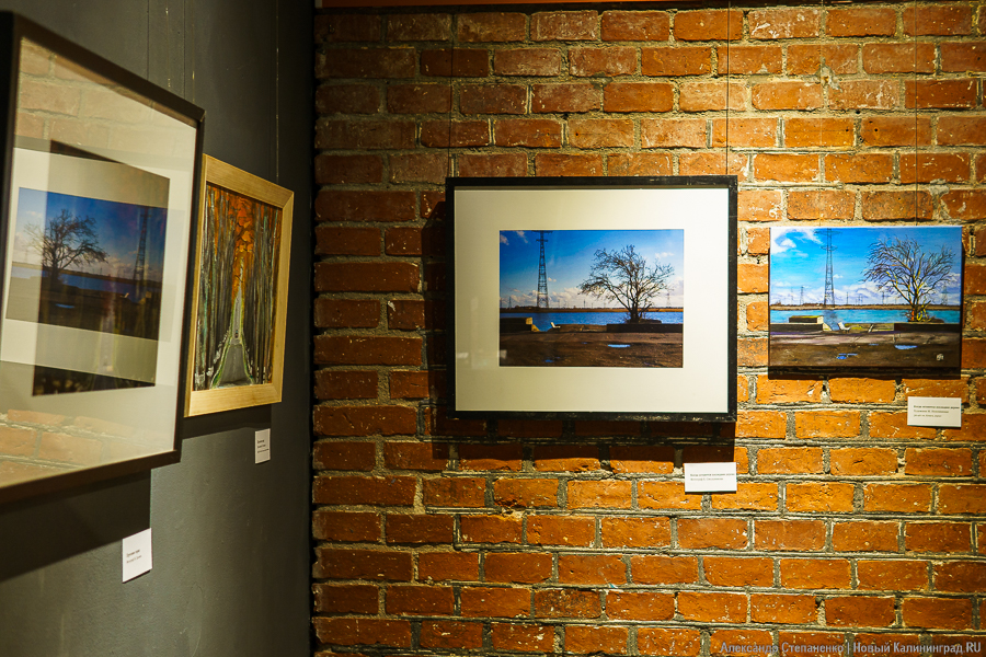 «О чем молчат деревья»: в Воротах открылась выставка, воспевающая придорожные аллеи (фото)