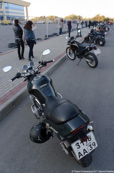 "Мотофестиваль 2010": фоторепортаж "Нового Калининграда.Ru"