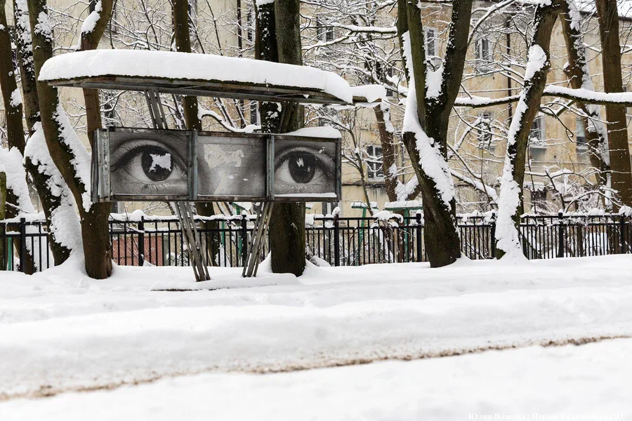 Синоптики ответили на вопрос о шансах увидеть зимнюю погоду в Калининграде