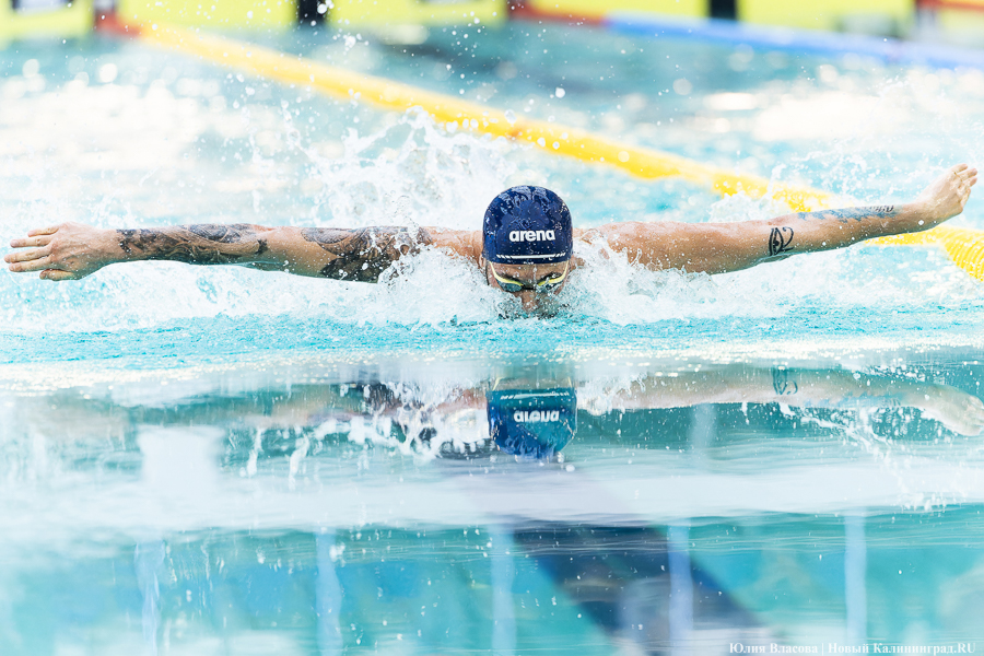 Легкой воды: как Калининград впервые принимал Кубок России по плаванию (фото)