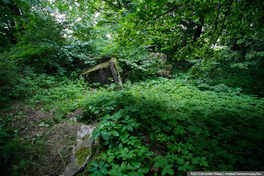По следам Первой мировой: захоронение в пос. Совхозное Нестеровского района