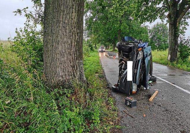 Под Железнодорожным «Опель» врезался в дерево и перевернулся (фото)
