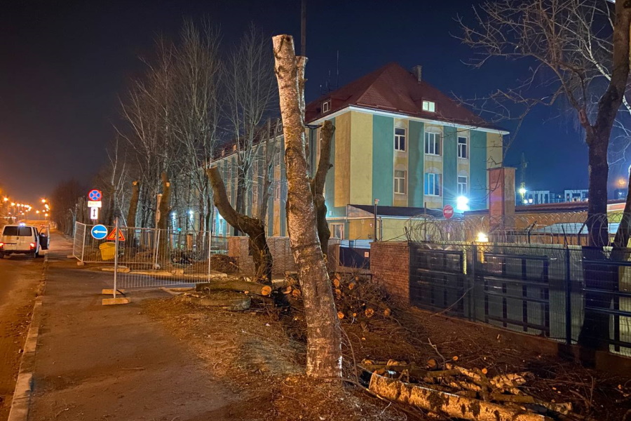 В Калининграде на улице Невского спилили 58 деревьев из-за расширения дороги (фото)