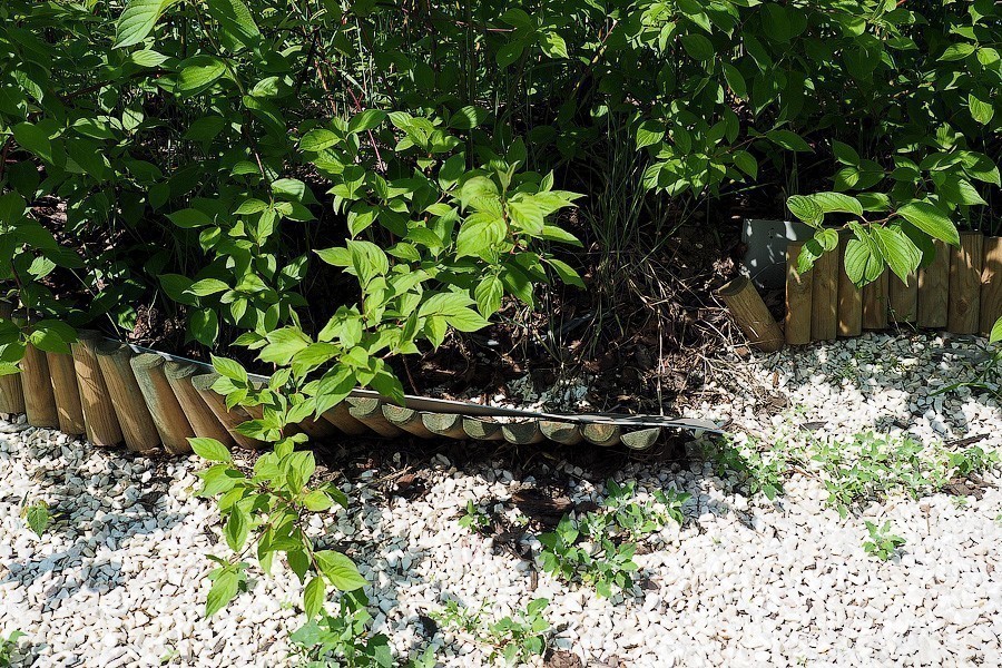 В Калининграде решили ремонтировать сквер с фонтаном спустя год после открытия (фото)