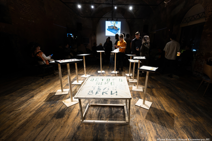 Что останется после нас: в «Воротах» открылась выставка современной мозаики