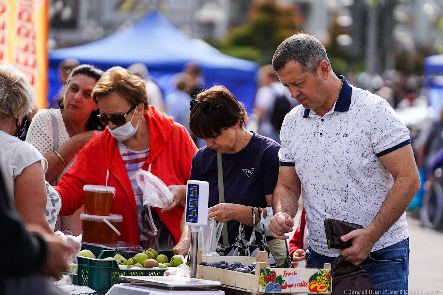 Базар-вокзал: как проходит сельхозярмарка на площади Победы в Калининграде