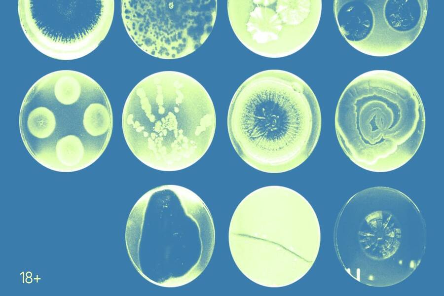 Изображение: Дом китобоя