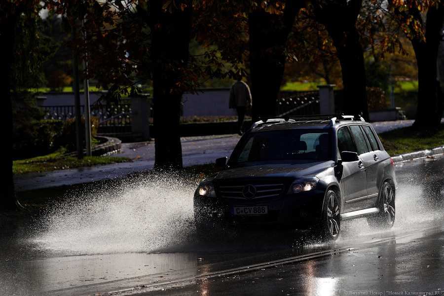 Другой берег улицы: Калининград затопило после шторма (да, опять)