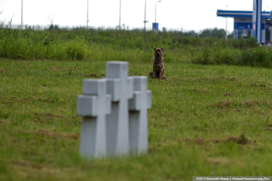 По следам Первой мировой: спасённое захоронение русских воинов в Деедене
