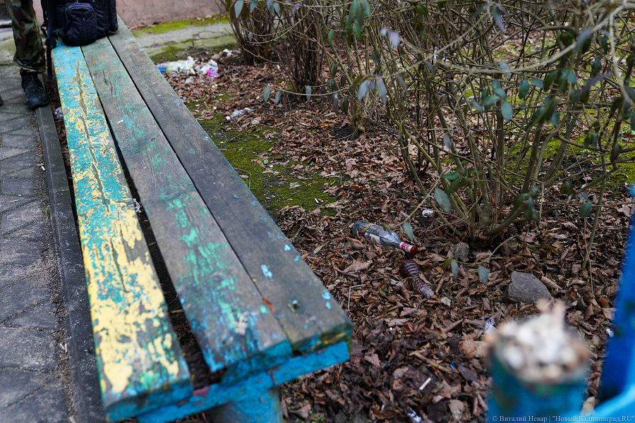 Теория целых окон: волонтеры пытаются спасти здание на Расковой с помощью уборки (фото)