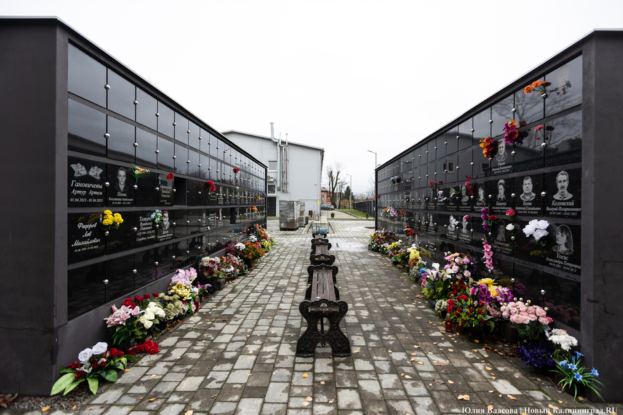 УМВД: калининградского полицейского подозревают в продаже информации о смерти