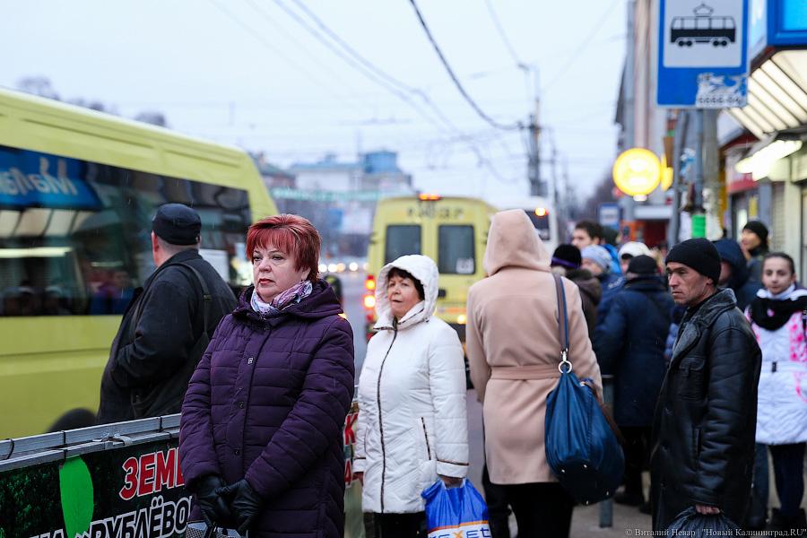 Жертвы транспортной войны: как калининградцы на работу добирались (фото)