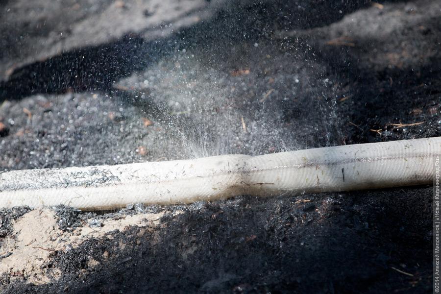 Когда рассеялся дым: после локализации лесного пожара на Куршской косе (фото)