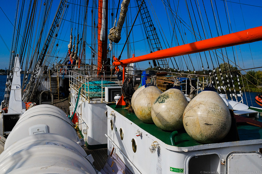Паруснику «Седов» исполняется 100 лет. Вспоминаем главное из его истории (фото)