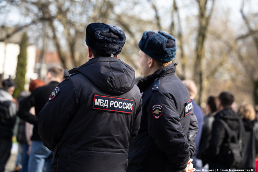 В защиту братьев меньших: в Калининграде прошёл митинг против убийства животных (фото)