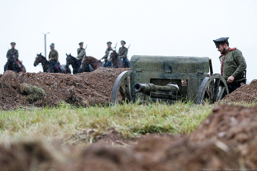 Фото: Виталий Невар / Новый Калининград