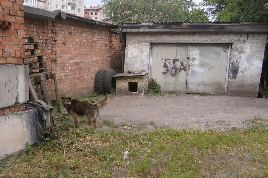 Мэрия сносит «домик, гараж, огород», которые мешают строить детсад на Костикова (фото)