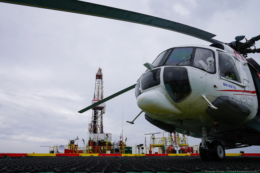 Прилетит вдруг волшебник: как голосовали на платформе «Д-6»