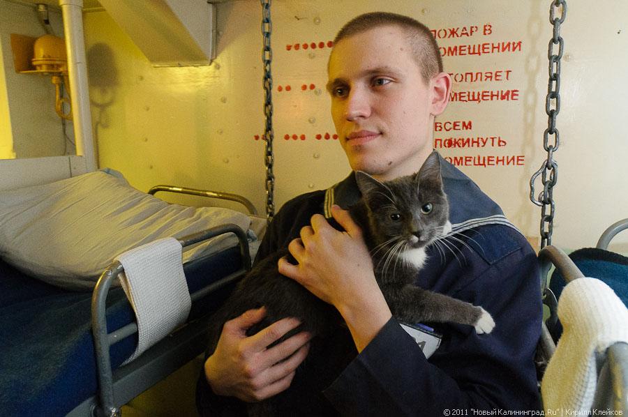 "50 лет дивизиону тральщиков": фоторепортаж "Нового Калининграда.Ru"