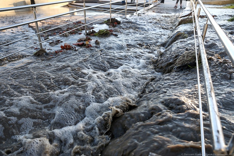 Набережная вышла из берегов: фоторепортаж с затопленной Трибуца