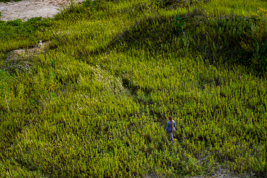Под Черняховском обнаружены свалка биологических отходов и «пожароопасные» угодья