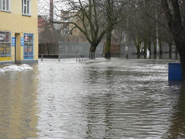 "Большая вода": фоторепортаж читателей "Нового Калининграда.Ru"
