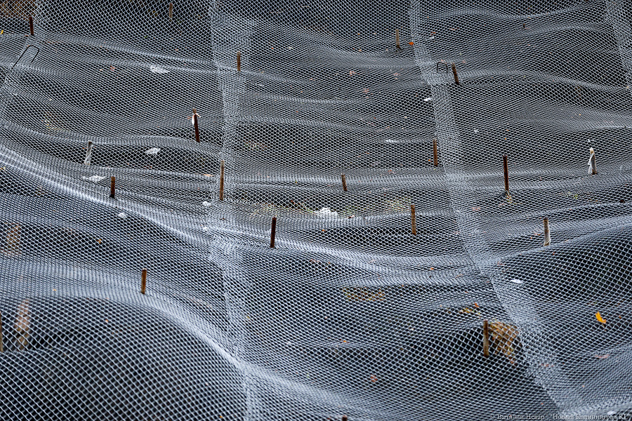 На гребне волны: как от Отрадного до Светлогорска променад строят