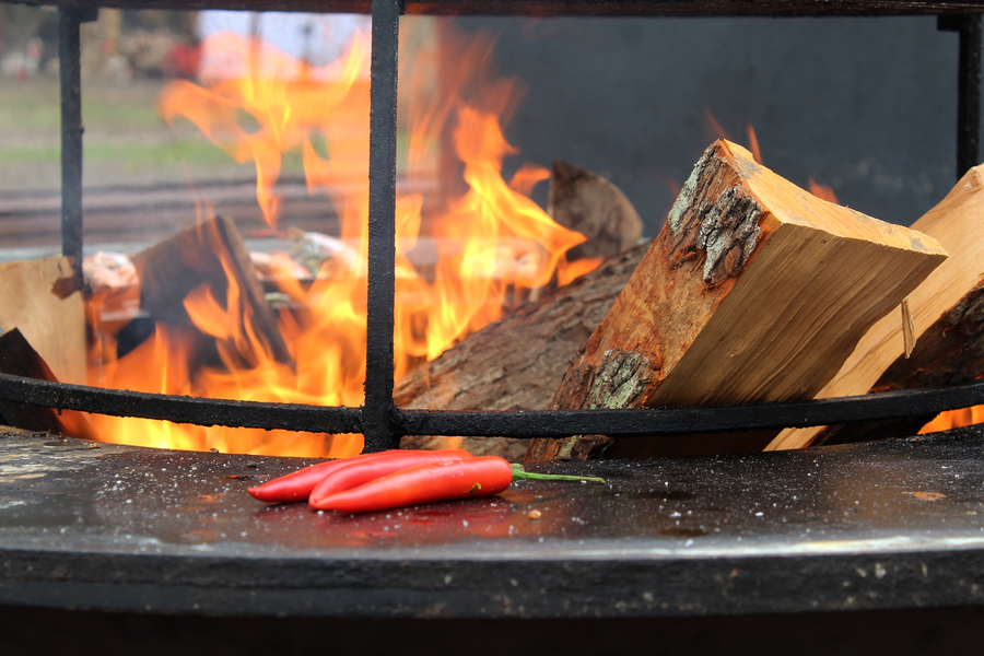 Ярмарка для метеоустойчивых: как прошло открытие гастрофестиваля на острове Канта (фото)
