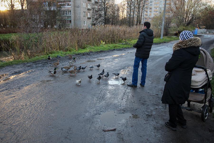 «Пока в никуда»: что происходит со строительством моста на Сельме