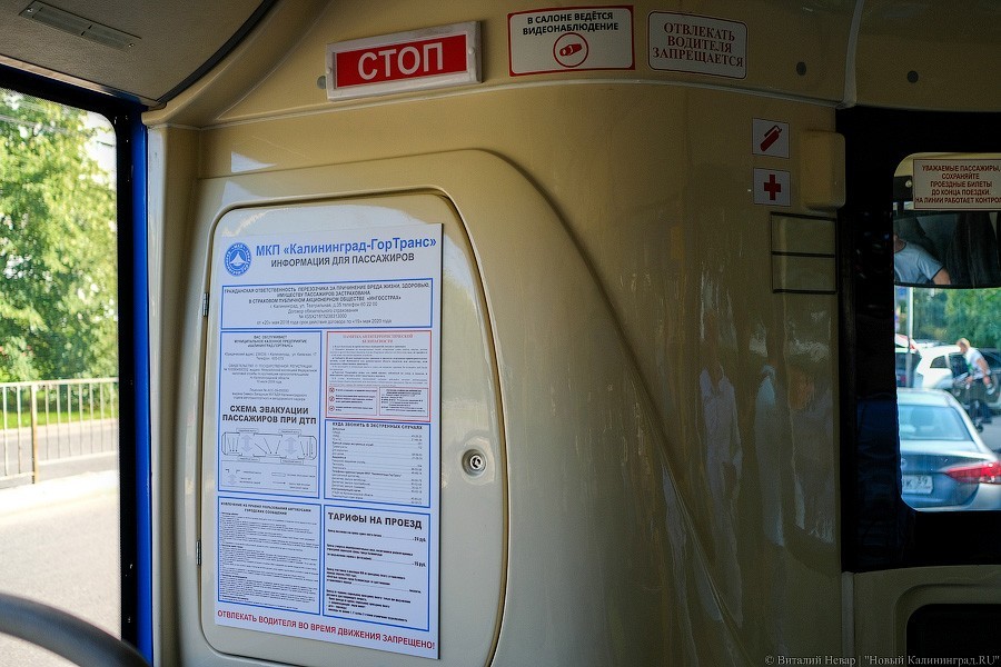 Автобус с розеткой: как в Калининграде испытывают новый вид транспорта