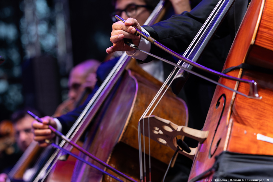 «Территория мира — Территория музыки»: как проходит open-air классической музыки