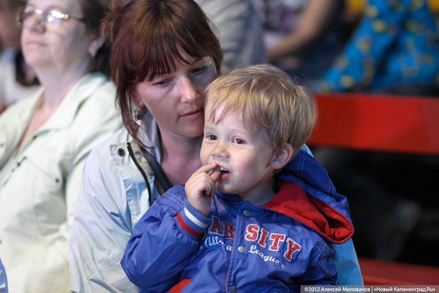 «Цирк в подарок»: фоторепортаж c премьеры цирковой программы