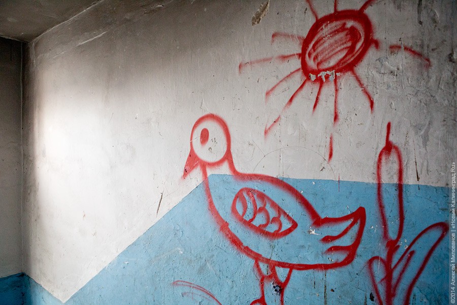 Фото — Алексей Милованов, «Новый Калининград»