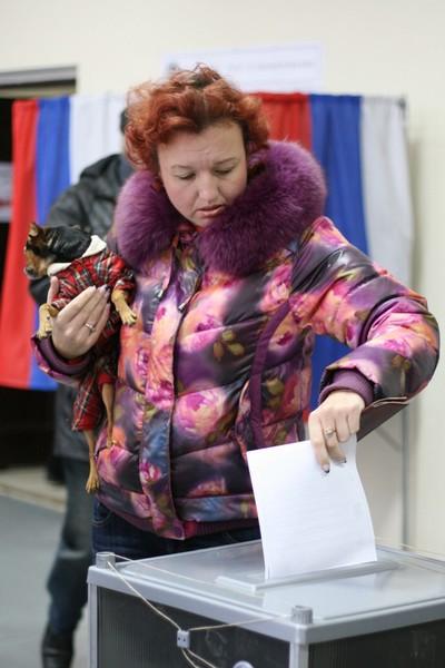 Сервер с этой фотографией временно недоступен