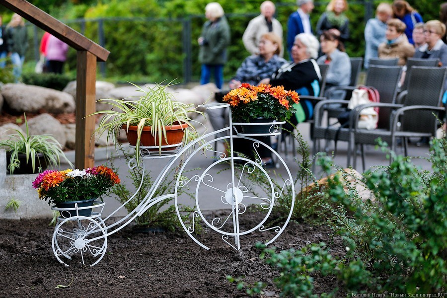 Алиханов распределил между муниципалитетами почти 6 млн руб. на благоустройство