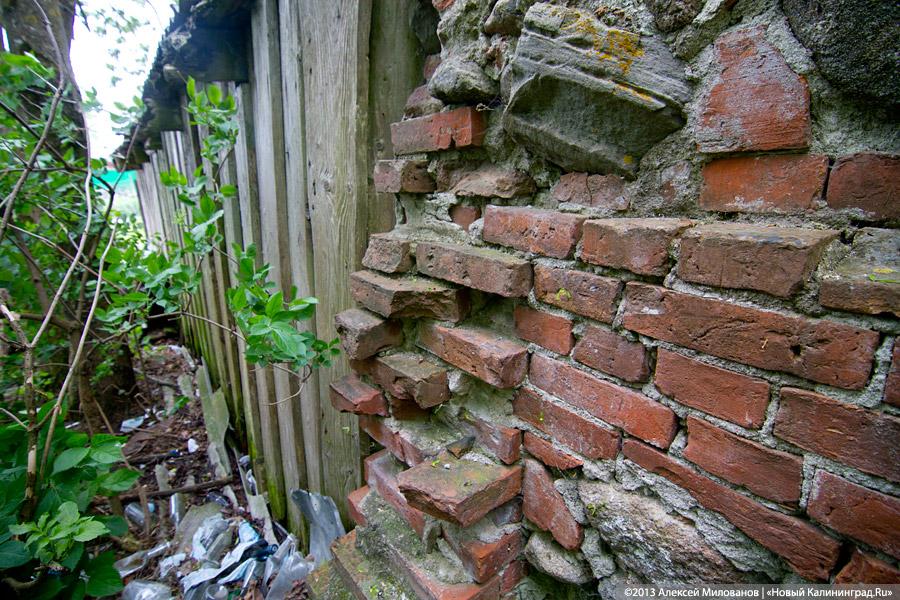 Забытые могилы: кирха и кладбище в поселке Тишино зарастают деревьями