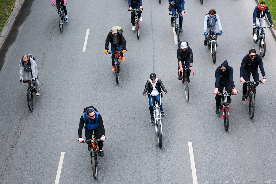 Лыжи, велики, унициклы: как прошёл велопарад в Калининграде (фото)